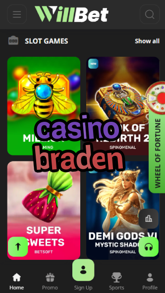 Casino Braden - Premium VIP Casino-ydblkf.net